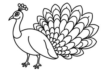 Peacock illustration coloring page for kids.