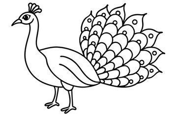 Peacock illustration coloring page for kids.