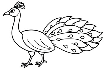 Peacock illustration coloring page for kids.