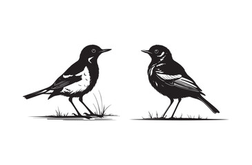 Bird Silhouette Illustration of Two Birds on Grass