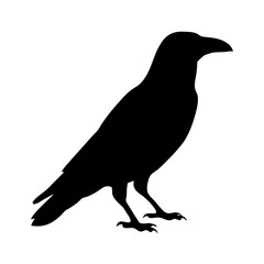 Black silhouette of a crow perched,showcasing its distinctive beak and strong, resolute stance on a on a transparent background