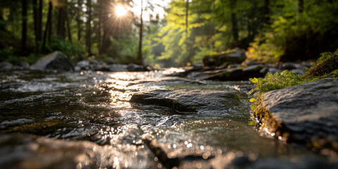 Obraz premium Close-up of sunlit stream flowing over rocks, surrounded by lush green forest. Peaceful, tranquil nature scene evokes serenity and calm