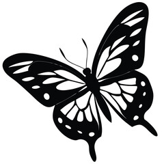 butterfly design transparent look