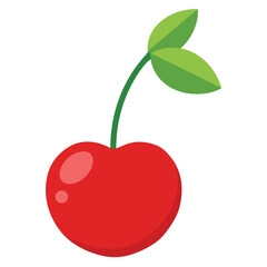 cherry fruit realistic look