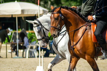 Horses and riders performing in an equestrian show.