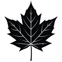 realistic maple leaf art