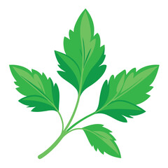 herb leaf design