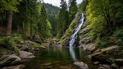 Obraz premium Waterfall cascades into calm pool nestled within dense forest