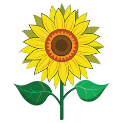 sunflower garden clipart