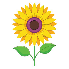 sunflower cute style