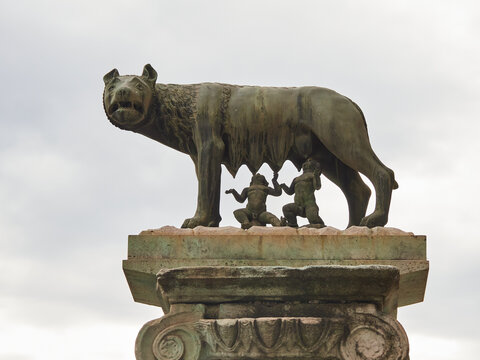 Statue of Romulus and Remus suckled by the she-wolf. It is a large marble statue from ancient Rome, rediscovered in Rome in 1512 and displayed in the Museum since 1811.