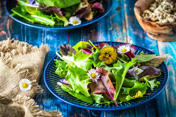 Fresh salad with mixed varieties and edible flowers on a blue wooden background