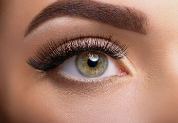 Obraz premium close up of female eye with make up