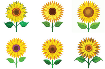 A bright yellow set of sunflowers blossom in a summer field, a beautiful floral design