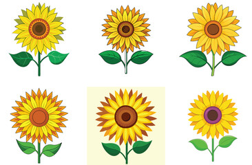 A bright yellow set of sunflowers, isolated, captures summer's floral beauty