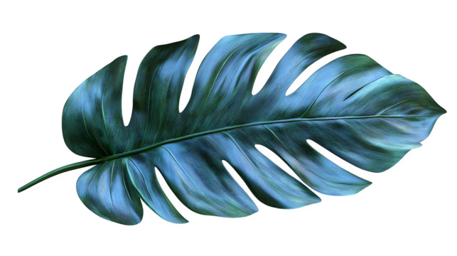 Long palm leaf with deep green color and realistic texture isolated on white background