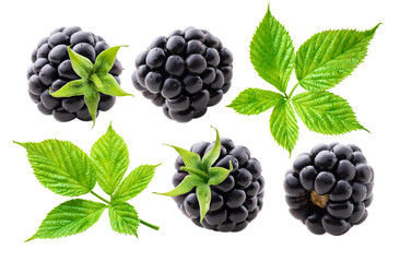 Blackberries and leaves collection isolated on white background.
Blackberry closeup set.