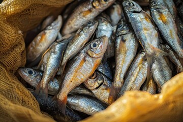Fototapeta premium Locals catch fresh herring and sell it roadside in Tam Thanh Tam Ky Quang Nam