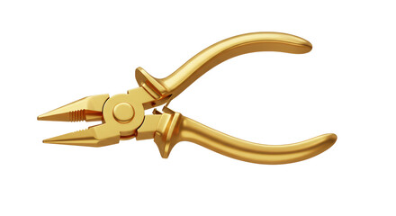 Isolated Golden Pliers Tool for Precision Work