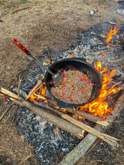 Pot of food is cooking on a fire