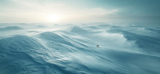 Obraz premium Animal walking on snowy landscape cold environment winter scene