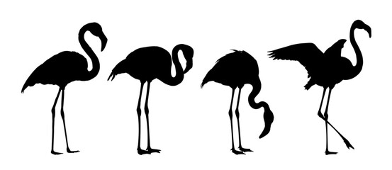 Set of flamingo silhouettes – vector illustration