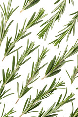 Fototapeta premium seamless pattern with rosemary leaves