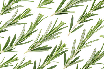 seamless pattern with rosemary leaves