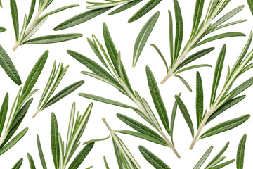 Fototapeta premium seamless pattern with rosemary leaves