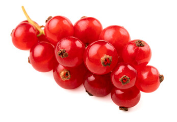 Red currant isolated on a white background.