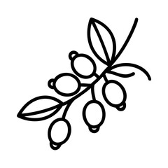 Berries branch vector illustration, berries clip art, berries outline, berries drawing, berries icon art
