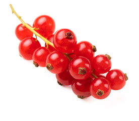 Red currant isolated on a white background.