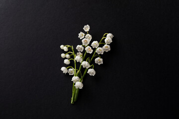 The branch of lilies of the valley flowers isolated on black paper background. Spring congratulations layout with lily may flowers.