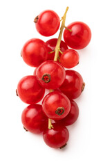 Red currant isolated on a white background.