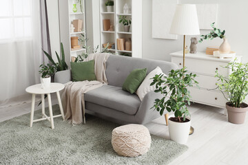 Sofa and houseplants in interior of living room