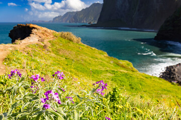 Egzotyczny krajobraz morski z wybrzeżem nad Oceanem Atlantyckim na portugalskiej wyspie Madera, podróż po Europie, Miradouro do Guindaste, tło lub tapeta do projektu  © anettastar