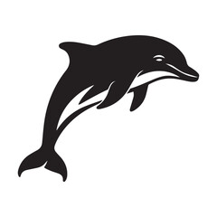 dolphin isolated on white background