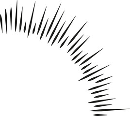 Irregular rays forming a quarter of the circumference.