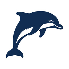 dolphin isolated on white