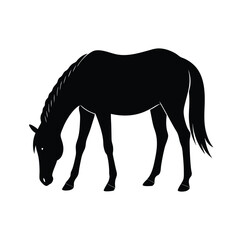 horse grazing  head down silhouette vector line art 