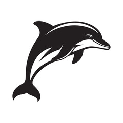 dolphin isolated on white background