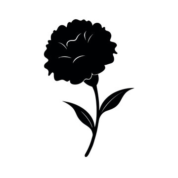 black carnation flower silhouette on white clip art preview