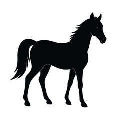 horse silhouette stock vectors vector art