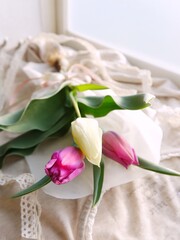 窓辺にチューリップ