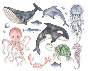 Under the sea. Watercolor hand-drawn clip art with marine life - whale, orca, dolphin, octopus, jellyfish, turtle, seahorse, crab, fish. Animals and plants of the underwater world. 
