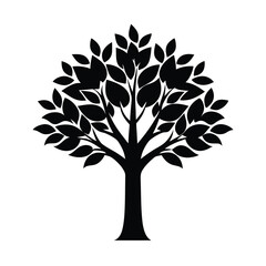 Fototapeta premium Adobe Illustrator Artwork