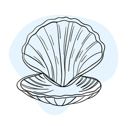 Seashell marine line art icons, ocean and sea beach shells coral underwater hand drawn line 