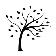 Obraz premium Adobe Illustrator Artwork