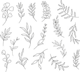 Hand drawn botanical line art illustration of eucalyptus branches and herbs. Minimalist vector floral clipart set for natural, elegant, and decorative design projects.