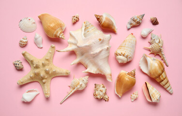 Many different seashells and starfish on pink background